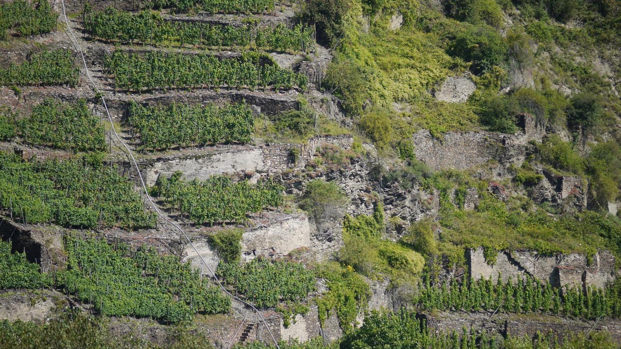 Hotel-Garni-Kachelburg Dieblich Bagian luar foto