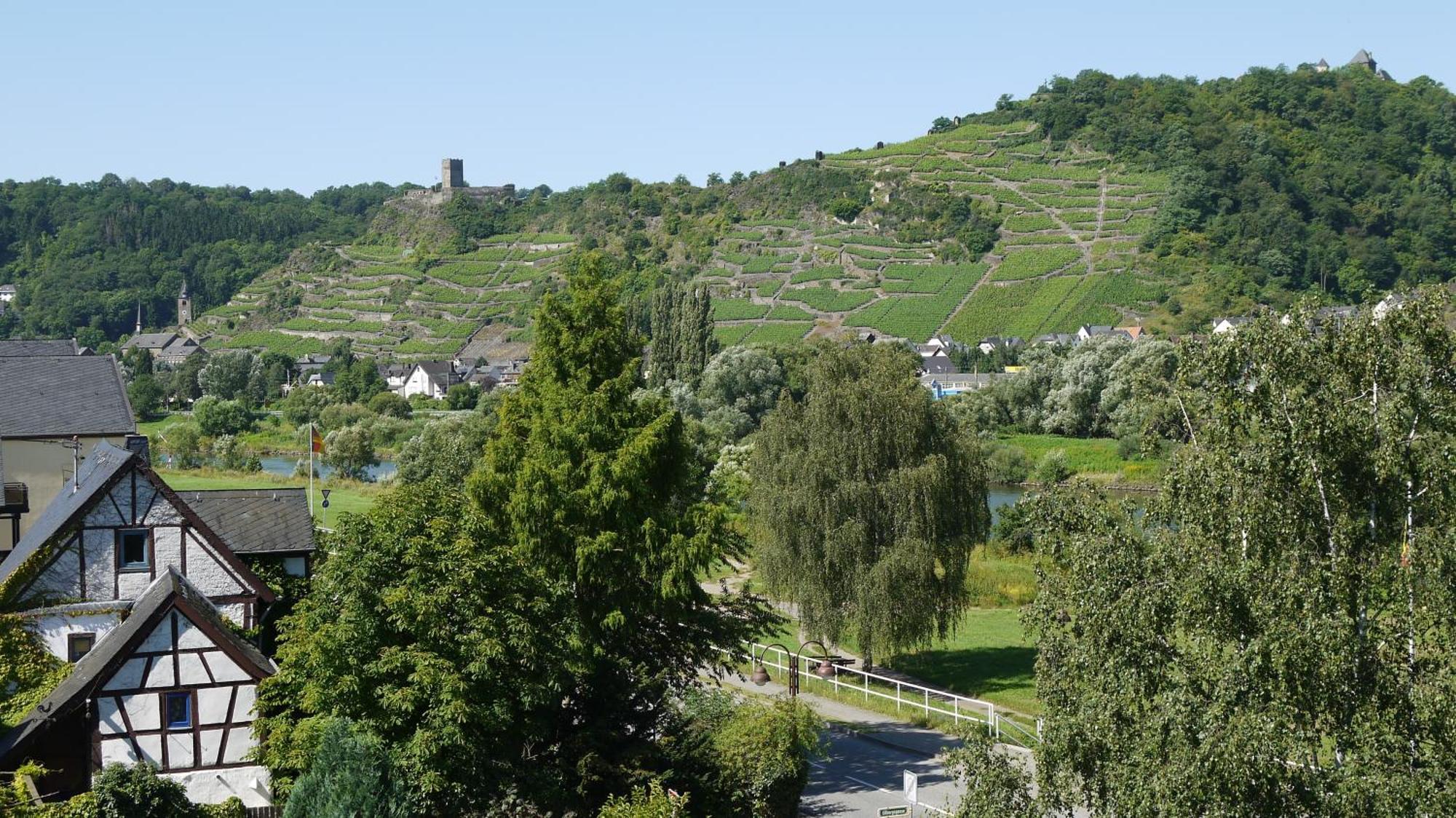 Hotel-Garni-Kachelburg Dieblich Bagian luar foto